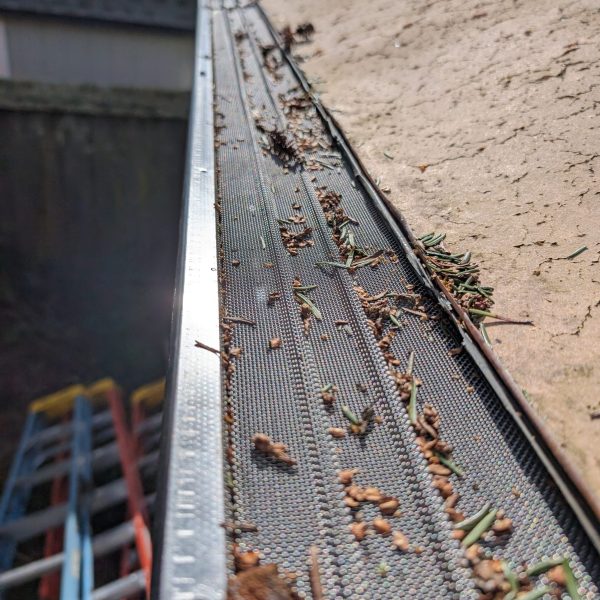 PXL_20240208_220934326