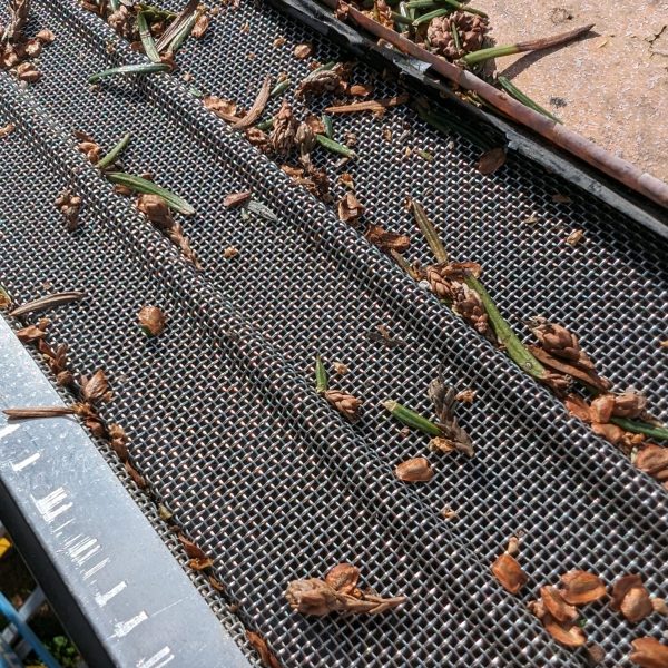 PXL_20240208_220949369