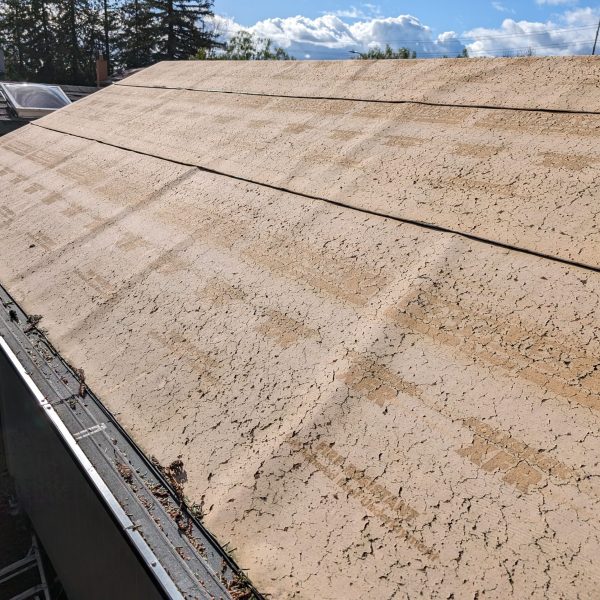 PXL_20240208_221009736