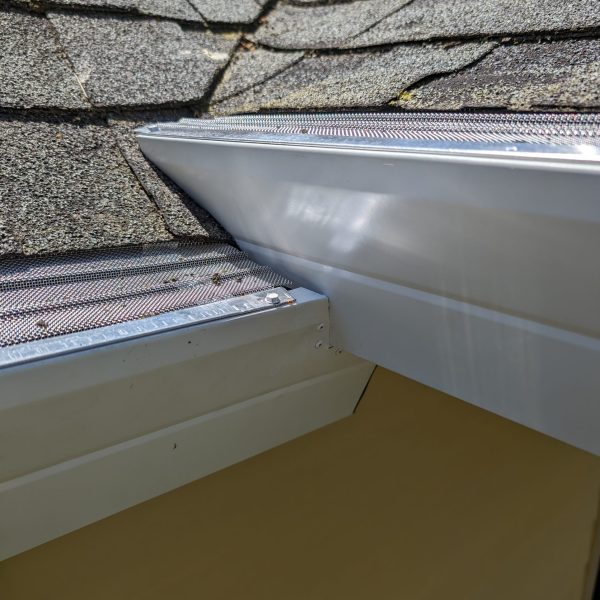 PXL_20240426_194136351