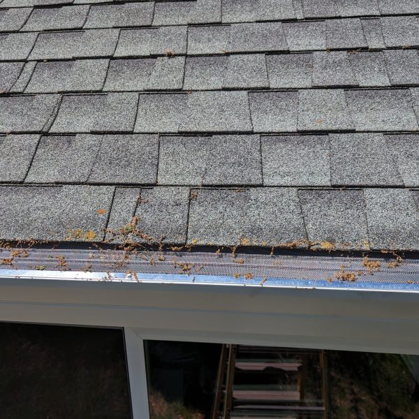 PXL_20240426_194405198