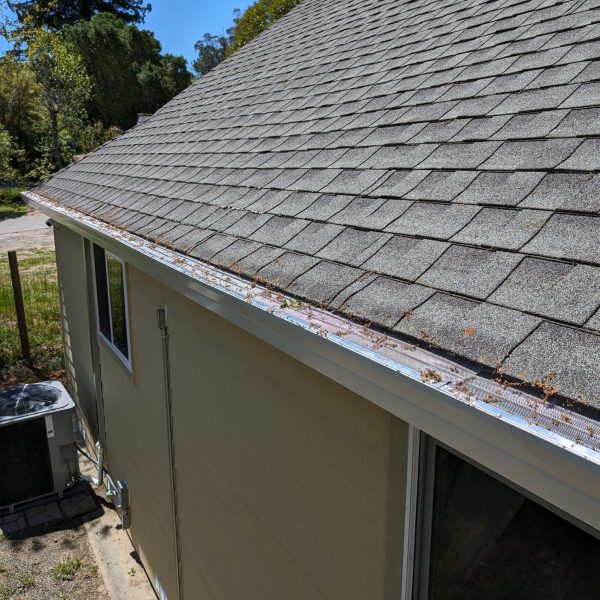 PXL_20240426_194410352