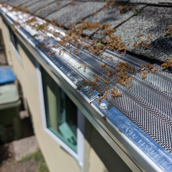 PXL_20240426_194626577