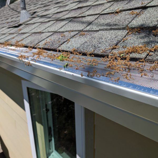 PXL_20240426_194639446