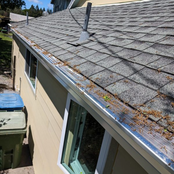 PXL_20240426_194659261