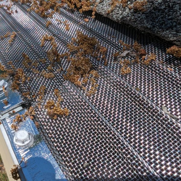 PXL_20240426_194731839.MP