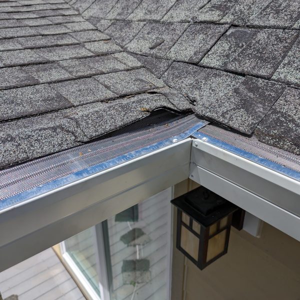 PXL_20240426_195059892