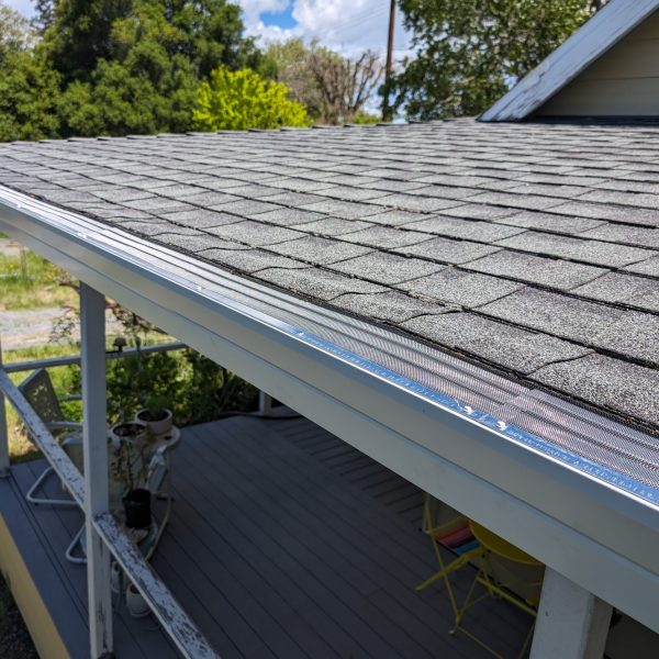 PXL_20240426_195308132